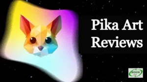 Pika Art Reviews